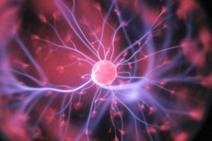 Emerald Coast Science Center: Family Fun For All