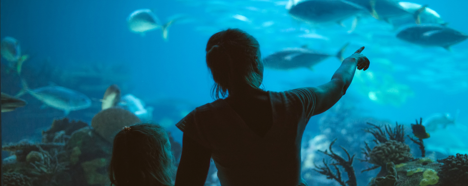 Exploring the Gulfarium on Okaloosa Island